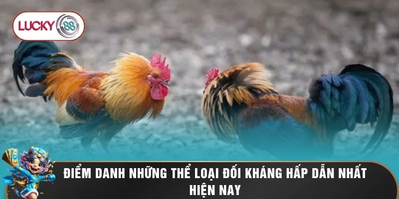 Điểm danh những thể loại đối kháng hấp dẫn nhất hiện nay