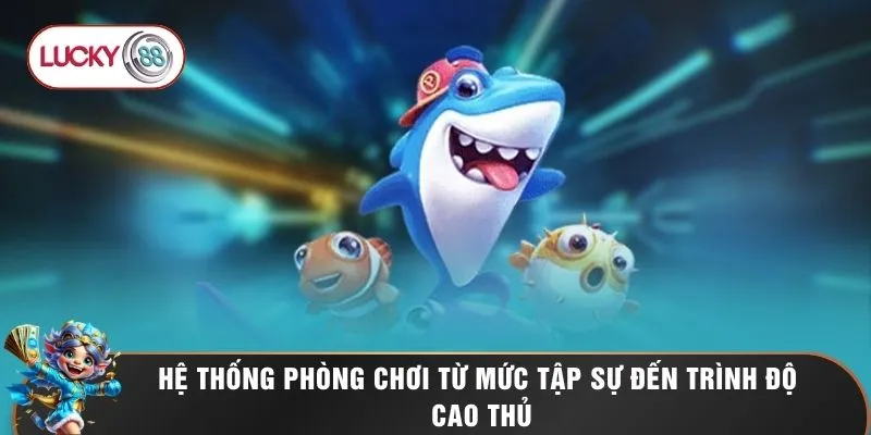 Hệ thống phòng chơi từ mức tập sự đến trình độ cao thủ
